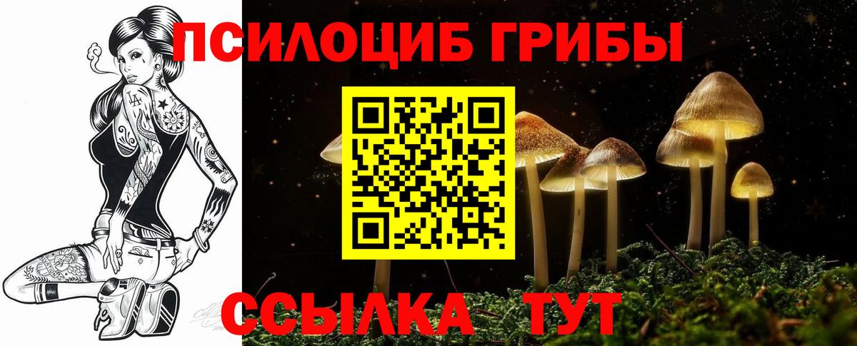 Псилоцибиновые грибы ЛСД Новомосковск